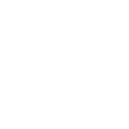 Webflow